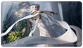 Play Mat: LoTR: Galadriel