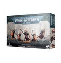 Warhammer 40k:  Adepta Sororitas - Celestian Sacresants