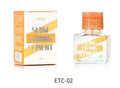 DSPIAE Slow Curing Cement