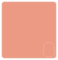 Citadel Layer Paint Lugganath Orange