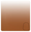Citadel Shade Paint Seraphim Sepia  (18ml)