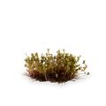 Gamers Grass Tufts: Tiny Tufts- Dry Green- Tiny