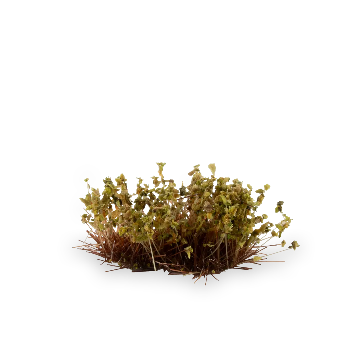 Gamers Grass Tufts: Tiny Tufts- Dry Green- Tiny