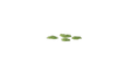 Gamers Grass Tufts: Tiny Tufts- Green 1mm- Tiny