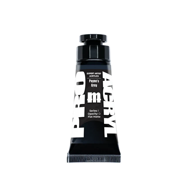 Expert Acrylics- Payne's Grey