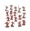 Warhammer 40k:  Blood Angels Sanguinary Guard