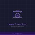 D&D Nolzur's Marvelous Miniatures: Dragonborn Fighter Male