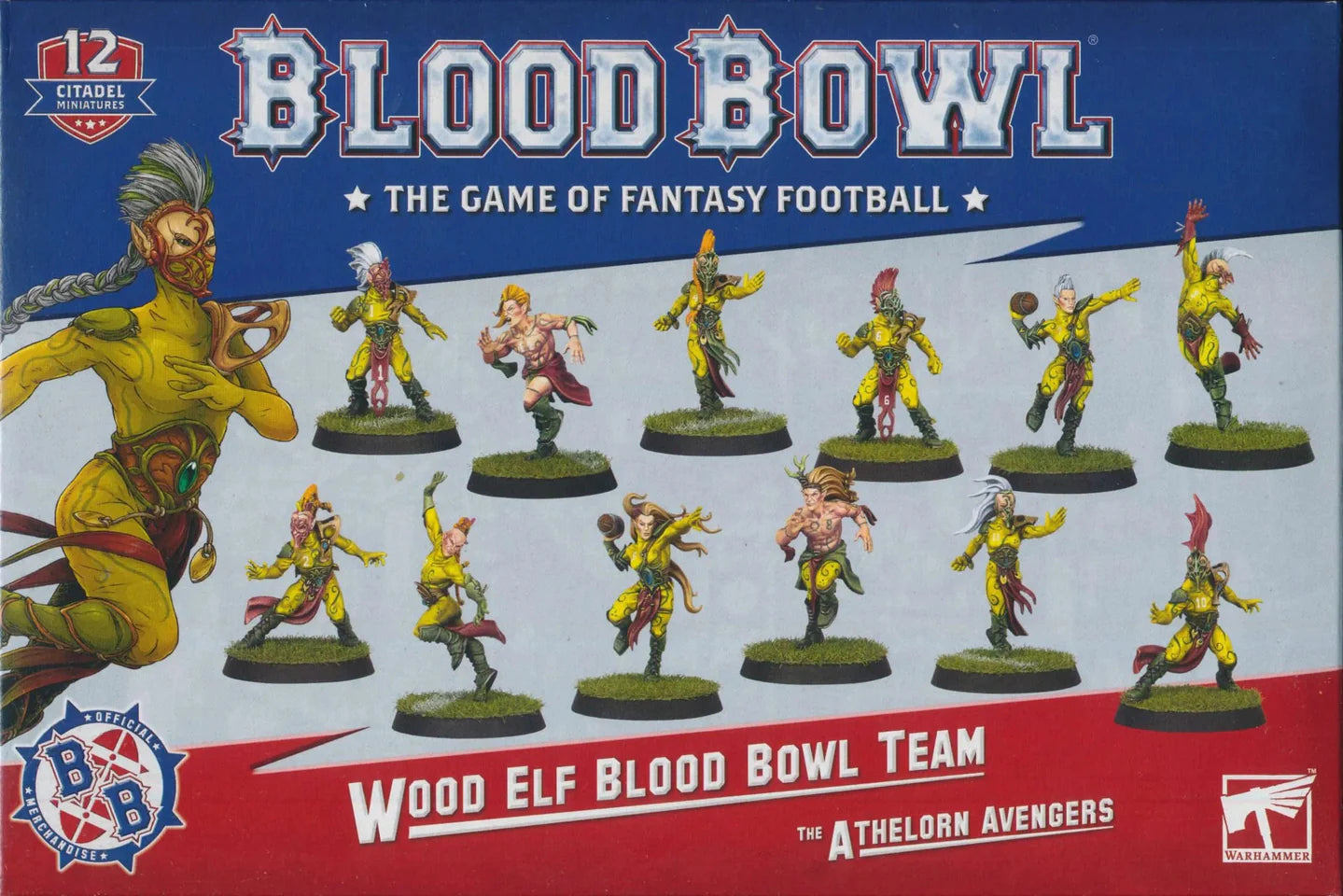 Blood Bowl:  Wood Elf Team